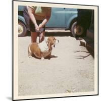 Fat Lady with Fat Basset Hound-null-Mounted Art Print