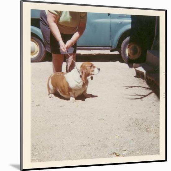 Fat Lady with Fat Basset Hound-null-Mounted Art Print