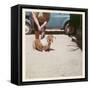Fat Lady with Fat Basset Hound-null-Framed Stretched Canvas