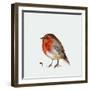 Fat Robin, 2017-Nancy Moniz Charalambous-Framed Giclee Print