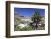 Fataga, Gran Canaria, Canary Islands, Spain, Europe-Markus Lange-Framed Photographic Print