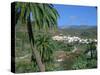 Fataga, Mountain Village, Gran Canaria, Canary Islands-Peter Thompson-Stretched Canvas