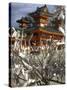 Fate and Wish Papers Tied on a Bush Branches, Heian Jingu Shrine, Kyoto, Kansai, Honshu, Japan-Simanor Eitan-Stretched Canvas