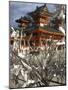 Fate and Wish Papers Tied on a Bush Branches, Heian Jingu Shrine, Kyoto, Kansai, Honshu, Japan-Simanor Eitan-Mounted Photographic Print