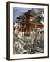 Fate and Wish Papers Tied on a Bush Branches, Heian Jingu Shrine, Kyoto, Kansai, Honshu, Japan-Simanor Eitan-Framed Photographic Print