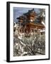 Fate and Wish Papers Tied on a Bush Branches, Heian Jingu Shrine, Kyoto, Kansai, Honshu, Japan-Simanor Eitan-Framed Photographic Print