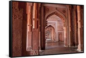 Fatehpur Sikri. Mughal Empire Mosque. Bharatpur. Rajasthan. India-Tom Norring-Framed Stretched Canvas