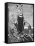 Fath-Ali Shah Qajar-Louis Charles Ruotte-Framed Stretched Canvas