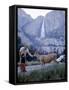 Father and Son Feeding a Wild Deer in Yosemite National Park with Yosemite Falls in the Background-Ralph Crane-Framed Stretched Canvas