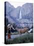Father and Son Feeding a Wild Deer in Yosemite National Park with Yosemite Falls in the Background-Ralph Crane-Stretched Canvas