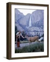 Father and Son Feeding a Wild Deer in Yosemite National Park with Yosemite Falls in the Background-Ralph Crane-Framed Photographic Print