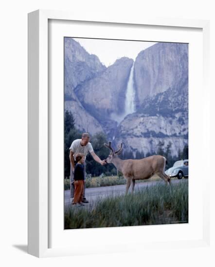 Father and Son Feeding a Wild Deer in Yosemite National Park with Yosemite Falls in the Background-Ralph Crane-Framed Photographic Print
