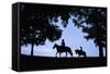 Father and Son Riding Horses-William P. Gottlieb-Framed Stretched Canvas