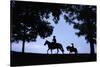 Father and Son Riding Horses-William P. Gottlieb-Stretched Canvas