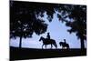 Father and Son Riding Horses-William P. Gottlieb-Mounted Photographic Print