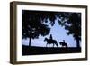 Father and Son Riding Horses-William P. Gottlieb-Framed Photographic Print