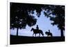 Father and Son Riding Horses-William P. Gottlieb-Framed Photographic Print