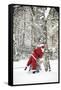 Father Christmas in Snow Behind Tree-null-Framed Stretched Canvas