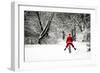 Father Christmas in Snow on Bicycle Freewheeling-null-Framed Photographic Print