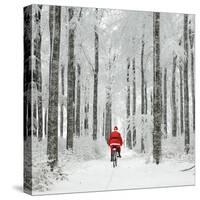 Father Christmas on a Bicycle in Snow-null-Stretched Canvas