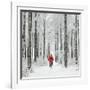 Father Christmas on a Bicycle in Snow-null-Framed Photographic Print