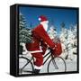 Father Christmas on Bicycle Cycling Past Fir-Ake Lindau and Johan De Meester-Framed Stretched Canvas