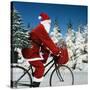 Father Christmas on Bicycle Cycling Past Fir-Ake Lindau and Johan De Meester-Stretched Canvas