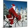 Father Christmas on Bicycle Cycling Past Fir-Ake Lindau and Johan De Meester-Mounted Photographic Print