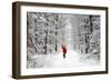 Father Christmas Riding Bicycle Through Beech-null-Framed Photographic Print