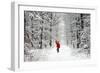 Father Christmas Riding Bicycle Through Beech-null-Framed Photographic Print