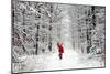 Father Christmas Riding Bicycle Through Beech-null-Mounted Photographic Print