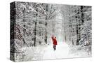 Stretched Canvas