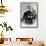 Father Damien-Belgian Photographer-Framed Stretched Canvas displayed on a wall