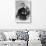 Father Damien-Belgian Photographer-Giclee Print displayed on a wall