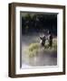 Father Fly Fishing with His Daughter-null-Framed Photographic Print