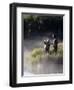 Father Fly Fishing with His Daughter-null-Framed Photographic Print