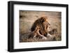 Father Knows Best-Art Wolfe-Framed Giclee Print