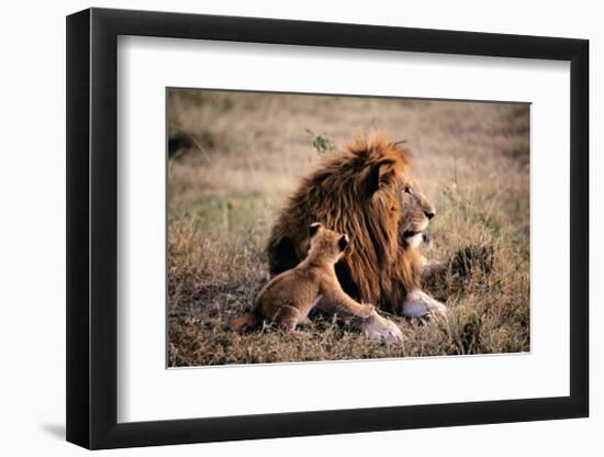 Father Knows Best-Art Wolfe-Framed Giclee Print