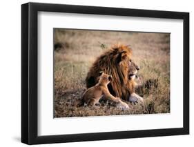 Father Knows Best-Art Wolfe-Framed Giclee Print