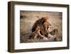Father Knows Best-Art Wolfe-Framed Giclee Print