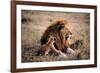 Father Knows Best-Art Wolfe-Framed Giclee Print