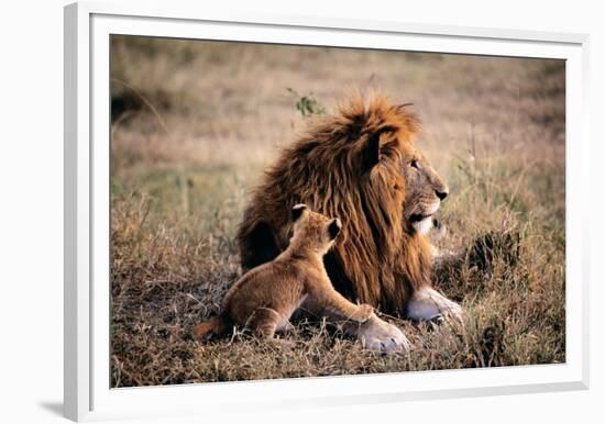 Father Knows Best-Art Wolfe-Framed Giclee Print