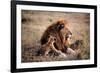 Father Knows Best-Art Wolfe-Framed Giclee Print