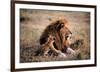 Father Knows Best-Art Wolfe-Framed Giclee Print