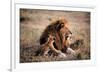 Father Knows Best-Art Wolfe-Framed Giclee Print