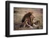 Father Knows Best-Art Wolfe-Framed Art Print