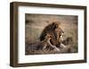 Father Knows Best-Art Wolfe-Framed Art Print