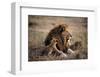 Father Knows Best-Art Wolfe-Framed Art Print