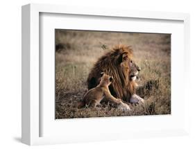 Father Knows Best-Art Wolfe-Framed Art Print