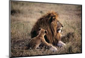 Father Knows Best-Art Wolfe-Mounted Art Print